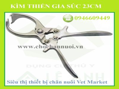 KÌM THIẾN BÒ 23CM