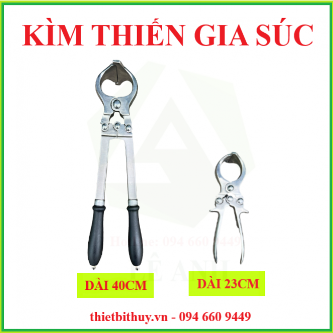 KÌM THIẾN GIA SÚC