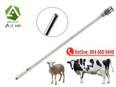 Kim truyền sữa - Kim thông vú bò
