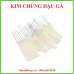 KIM CHỦNG ĐẬU GÀ