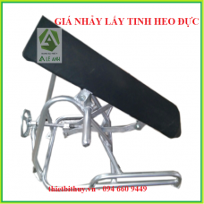 GIÁ NHẢY LẤY TINH HEO ĐỰC