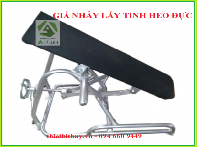 Giá nhảy lấy tinh heo đực.