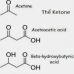 BỆNH KETOSIS TRÊN BÒ SỮA