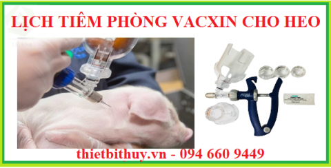 LỊCH TIÊM PHÒNG VACXIN CHO HEO