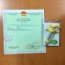 XILANH NHỰA RECCA 50ML/ 50CC