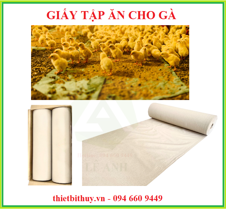 TẤM LÓT CHUỒNG GÀ - THIETBITHUY.VN