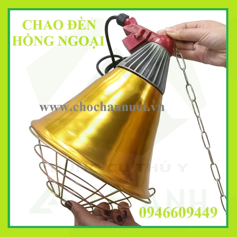 Chao đèn hồng ngoại 20cm - Thiết bị thú y Lê Anh