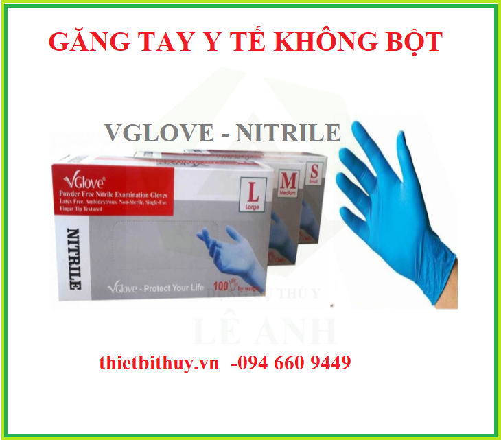 Găng tay không bột màu xanh