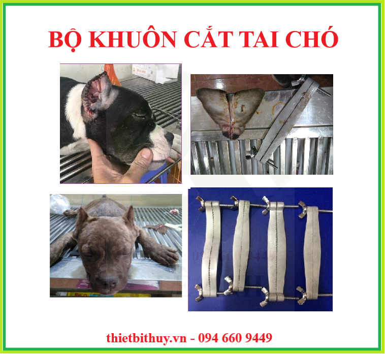 BỘ KHUÔN CẮT TAI CHÓ - TRIỆT SẢN CHÓ MÈO