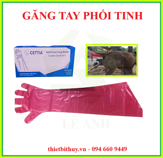 Găng tay phối tinh bò - Găng tay y tế - thietbithuy.vn