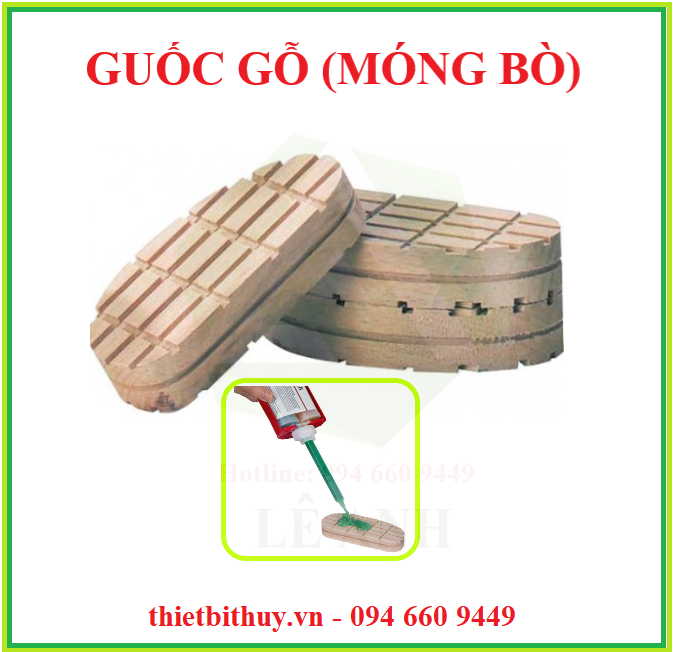 GUỐC GỖ MÓNG BÒ