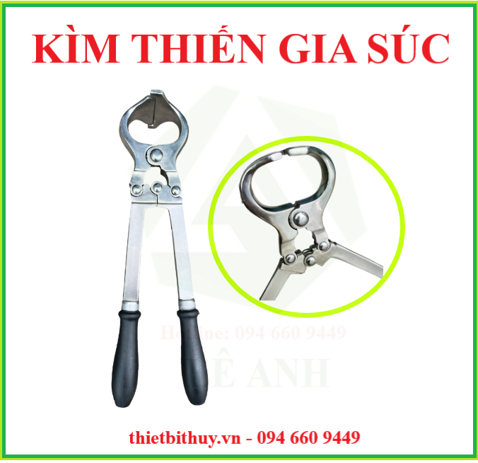 KÌM THIẾN BÒ - THIẾN GIA SÚC - KÌM CẮT MÓNG