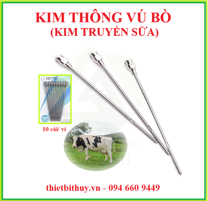 Kim thông vú - thietbithuy.vn