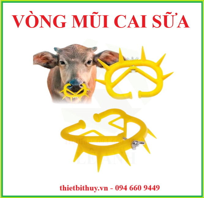 VÒNG CHỐNG BÚ TRỘM - VÒNG MŨI CAI SỮA CHO BÊ - THIETBITHUY.VN