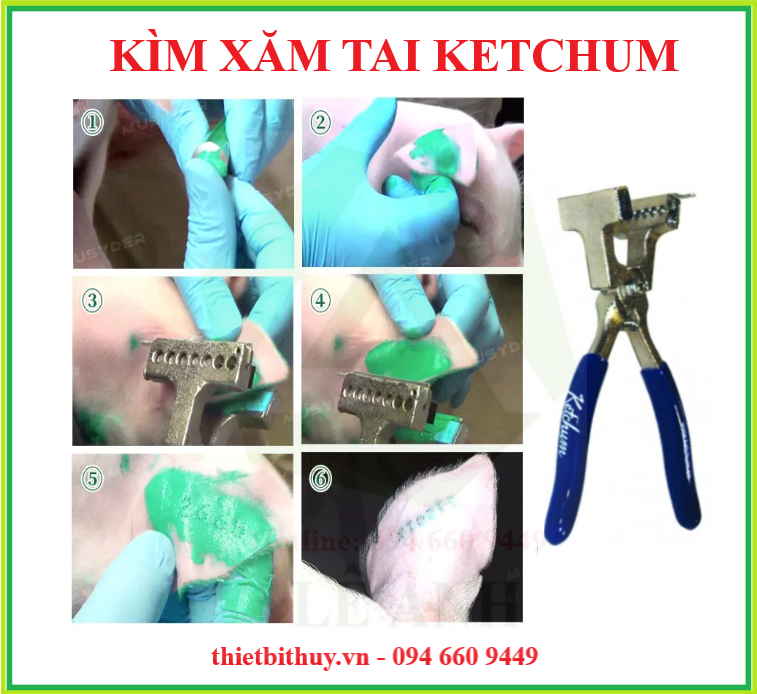 KÌM XĂM 7 KÍ TỰ - MỰC XĂM KETCHUM MÀU XANH