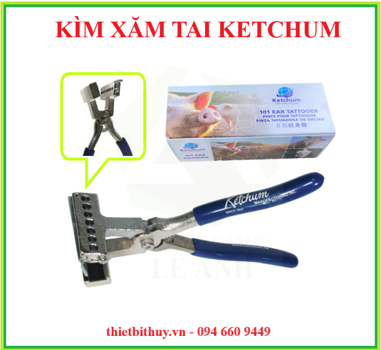 KÌM XĂM TAI KETCHUM 101 - BỘ KÌM XĂM