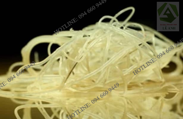 bệnh giun tim ở chó - thietbithuy.vn