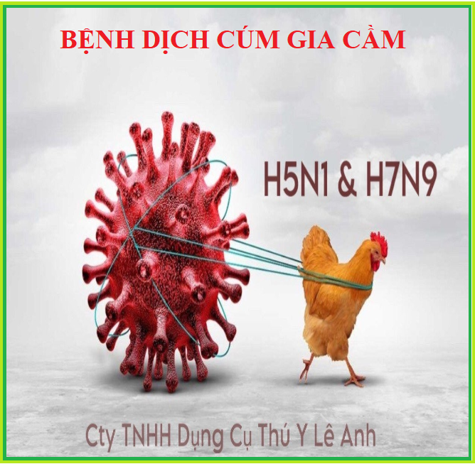 dịch cúm gia cầm ở gà